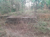  Residential Plot for Sale in Pazhayannur, Thrissur
