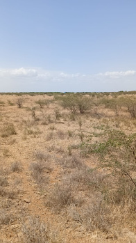  Agricultural Land for Sale in Gangaikondan, Tirunelveli