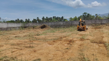  Agricultural Land for Sale in Palayamkottai, Tirunelveli