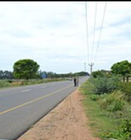  Agricultural Land for Sale in L&T Bypass, Coimbatore