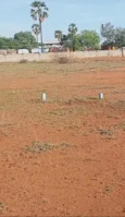  Commercial Land for Sale in Pattanam, Coimbatore