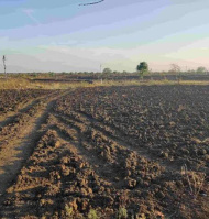 Agricultural Land for Sale in Paramakudi, Ramanathapuram
