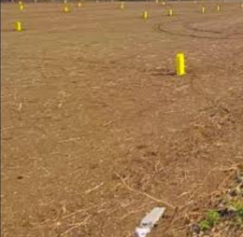  Commercial Land for Sale in Reddiarpatti, Tirunelveli