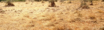 Commercial Land for Sale in Sulur, Coimbatore