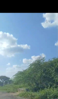  Agricultural Land for Sale in Kamuthi, Ramanathapuram