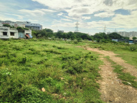  Agricultural Land for Sale in Tenkasi, Tirunelveli