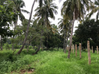  Agricultural Land for Sale in Karamadai, Coimbatore