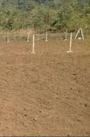  Commercial Land for Sale in Anaikatti, Coimbatore