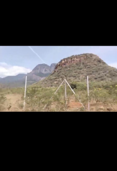  Agricultural Land for Sale in Panagudi, Tirunelveli