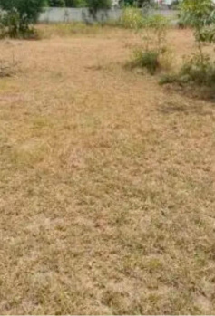  Commercial Land for Sale in Vandular, Chennai