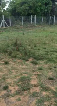  Commercial Land for Sale in Tindivanam, Villupuram
