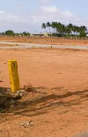  Residential Plot for Sale in Podanur Shetty Palayam, Coimbatore