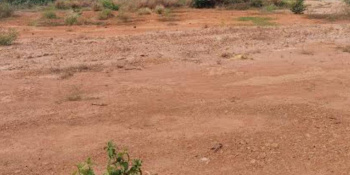  Commercial Land for Sale in Melapalayam, Tirunelveli