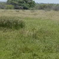  Commercial Land for Sale in Thiruparankundram, Madurai