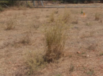  Commercial Land for Sale in Valasaravakkam, Chennai