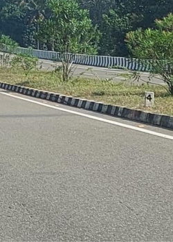  Commercial Land for Sale in Thachanallur, Tirunelveli