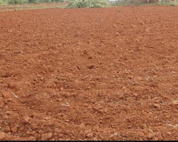  Commercial Land for Sale in Thondi, Ramanathapuram