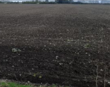 Commercial Land for Sale in Karungulam, Thoothukudi