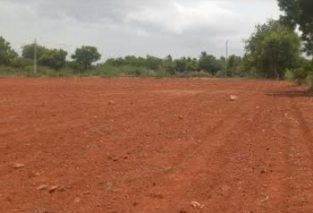 Agricultural Land for Sale in Perumalpuram, Tirunelveli