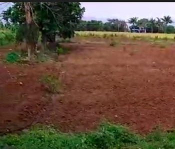  Agricultural Land for Sale in Dharapuram, Tirupur
