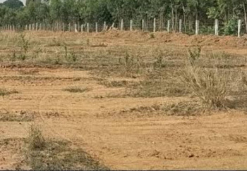  Residential Plot for Sale in Tharuvai, Tirunelveli
