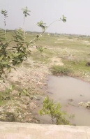  Agricultural Land for Sale in Sivagiri, Tirunelveli