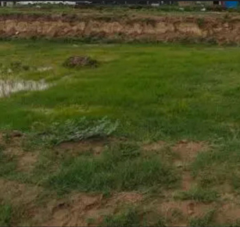  Residential Plot for Sale in Thirukarungudi, Tirunelveli