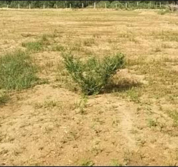  Residential Plot for Sale in KTC Nagar, Tirunelveli