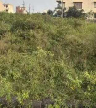 Residential Plot for Sale in Thoraipakkam, Chennai