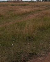  Commercial Land for Sale in Vellimalai, Kanyakumari