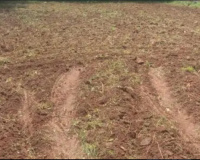  Residential Plot for Sale in Nehru Nagar, Coimbatore