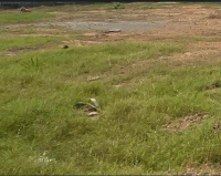  Residential Plot for Sale in Muttukadu, Chennai