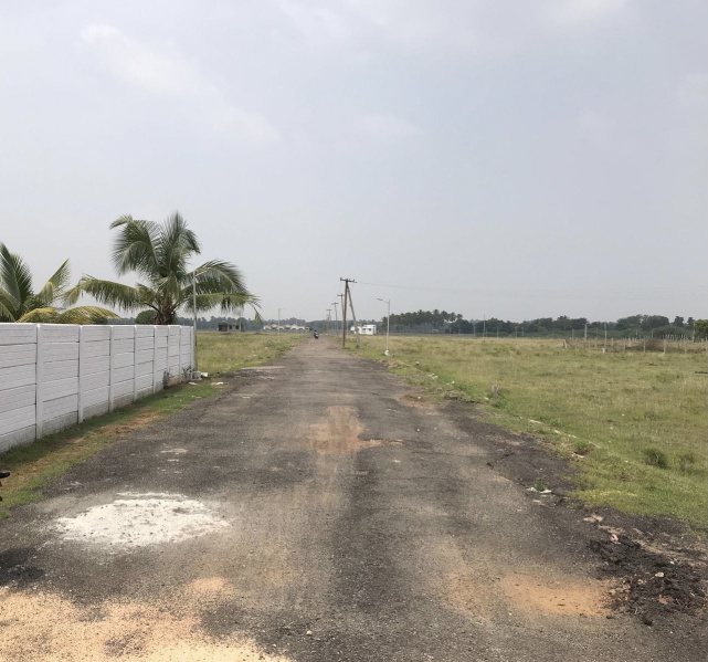  Residential Plot 1200 Sq.ft. for Sale in Allithurai, Tiruchirappalli