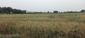  Agricultural Land for Sale in Kamal Vihar, Dayal Bagh, Agra