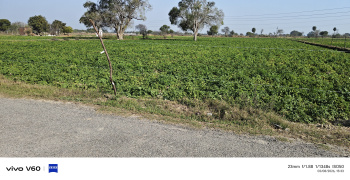  Residential Plot for Sale in Etmadpur, Agra