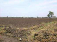  Agricultural Land for Sale in Mandideep, Bhopal