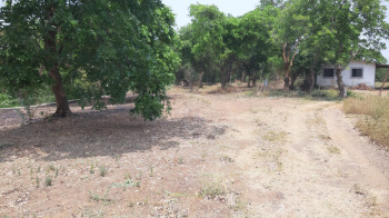  Agricultural Land for Sale in Panvel, Raigad