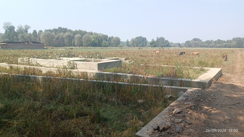  Residential Plot 2720 Sq.ft. for Sale in Soitang, Srinagar