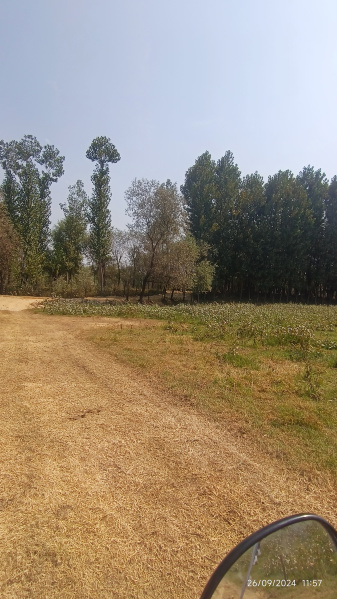  Residential Plot 2720 Sq.ft. for Sale in Soitang, Srinagar