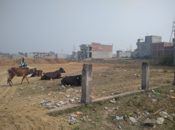  Agricultural Land for Sale in Dandi, Allahabad