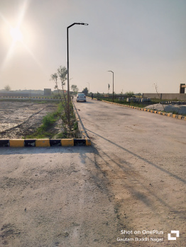  Residential Plot for Sale in Yamuna Expressway, Greater Noida