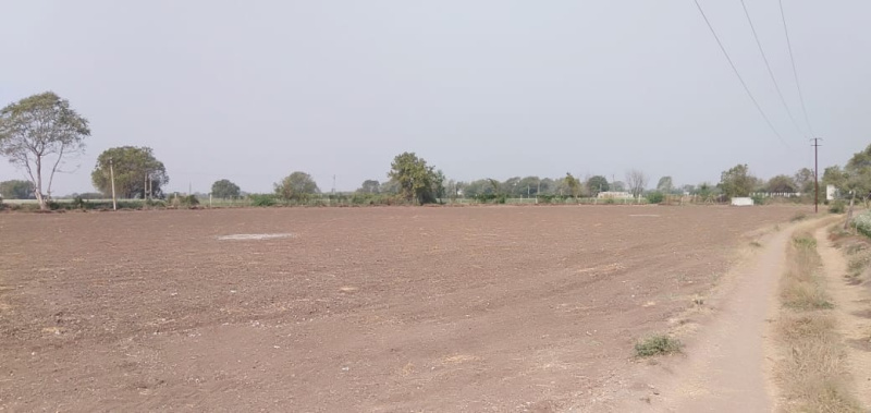  Agricultural Land 13 Bigha for Sale in Bhavnagar Road, Rajkot