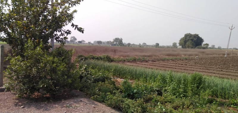  Agricultural Land 13 Bigha for Sale in Bhavnagar Road, Rajkot