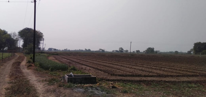  Agricultural Land 13 Bigha for Sale in Bhavnagar Road, Rajkot