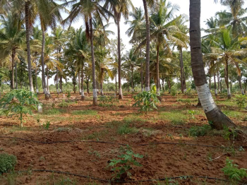  Agricultural Land for Sale in Yelahanka New Town, Bangalore