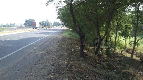 Commercial Land 6000 Sq.ft. for Sale in Sahara Bypass Road, Bhopal