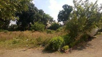  Residential Plot for Sale in Chunabhatti, Bhopal