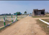  Residential Plot for Sale in Emapper, Kallakurichi, Villupuram
