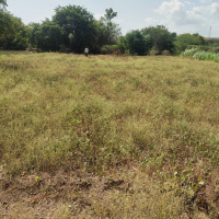 Agricultural Land for Sale in Purandar, Pune