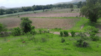  Agricultural Land for Sale in Taluka Velhe, Pune